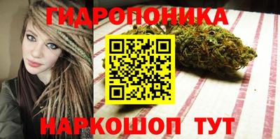 твердый Сланцы
