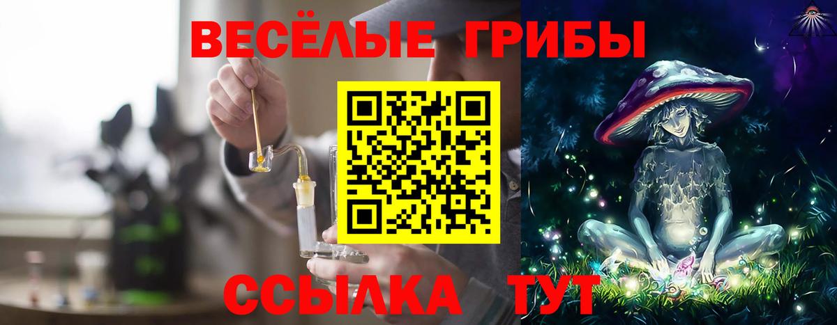 Псилоцибиновые грибы прущие грибы Отрадный